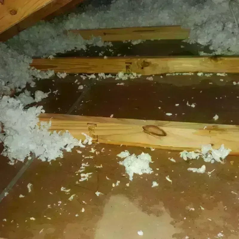 Attic Water Damage in Athens County, OH