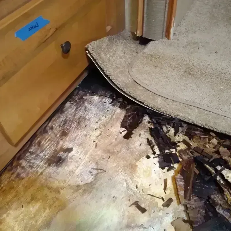 Best Wood Floor Water Damage Service in Athens County, OH